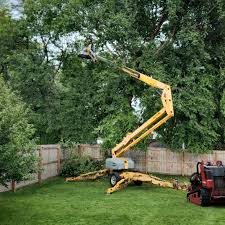 Best Storm Damage Tree Cleanup  in Harvey, MI